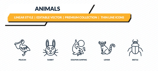 animals icons set - pelican, rabbit, dolphin jumping, lemur, beetle outline vector collection. © IconArt
