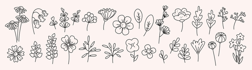 Set of line art flowers, branches, foliage and buds. Elegant botanical hand drawn floral elements with editable stroke for decorative design, prints, cards, wedding invitation, stationery. Vector © Olena