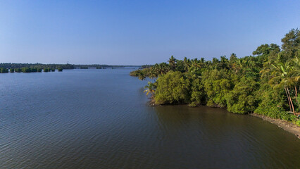 Stunning tropical landscape of Kerala, India, featuring a lush green coconut palm grove along the...