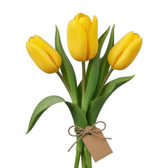 Fototapeta premium Three yellow tulips tied with twine and a gift tag isolated on transparent background