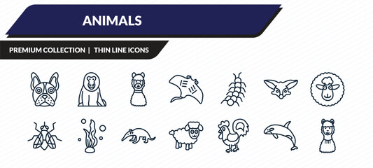 animals icons set - bulldog, baboon, lama, grampus, llama outline vector collection. © IconArt