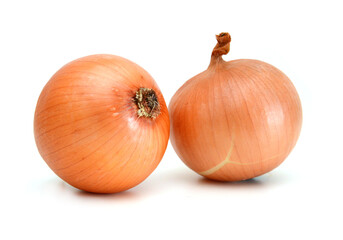 Ripe onion on a white background 