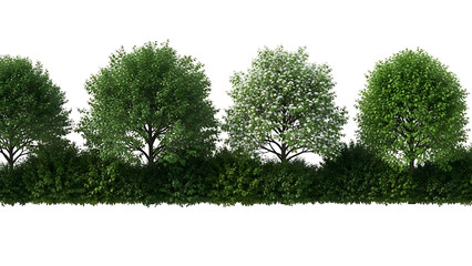 Obraz premium green trees and bushes with a single blossoming white flower tree isolated on white for landscaping and architectural visualization backgrounds