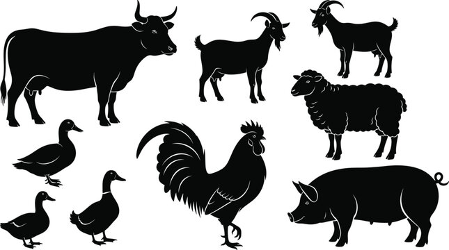 Farm animal silhouettes, goat, sheep, ram, duck, goose, turkey, black and white, vector illustration, livestock icons, rural, agriculture set