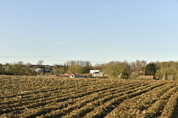Champ retourn&eacute; par lignes sous un ciel bleu d'hiver &agrave; &Eacute;caussinnes-d'Enghien (Soignies)