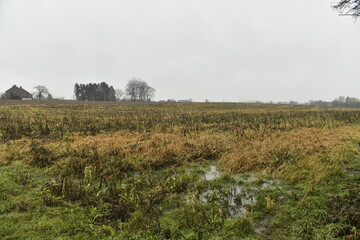 Champ boueux en hiver par temps de pluie &agrave; Frasnes-Lez-Gosselies (Charleroi) 