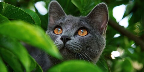 Curious Grey Cat with Bright Orange Eyes Climbing a Lush Green Tree