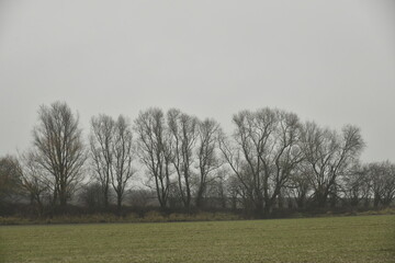 For&ecirc;t en hiver derri&egrave;re un champ sous la pluie &agrave; Frasnes-Lez-Gosselies (Charleroi)
