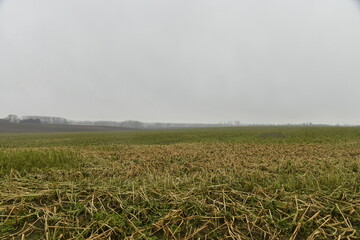 Paysage rural et plat sous la bruine battante &agrave; Frasnes-Lez-Gosselies (Charleroi) 
