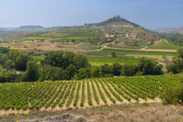 La Rioja vineyards surrounding San Vicente de la Sonsierra castle