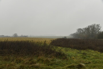 Paysage rural sous la brume et la bruine &agrave; Frasnes-Lez-Gosselies (Charleroi)