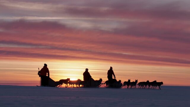 Dog sled teams mushing across snowy Arctic plain at vibrant sunset, silhouetted against colorful sky