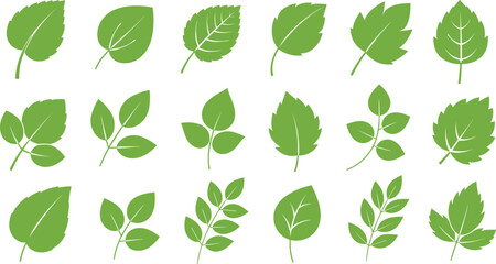 green leaf collection, botanical foliage set, natural plant illustrations, eco greenery icons, organic leaf vector pack, environmental design elements