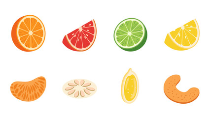 Obraz premium Flat citrus fruit slices and seeds set on white background