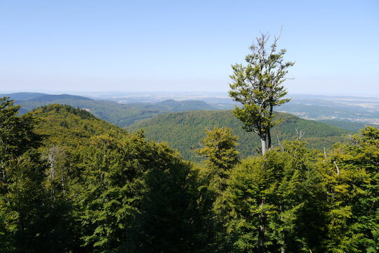 Aussicht vom Gro&szlig;en Inselsberg im Th&uuml;ringer Wald