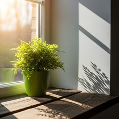 A green potted plant sits on a wooden table by the window, basking in sunlight, whisk casting shadows