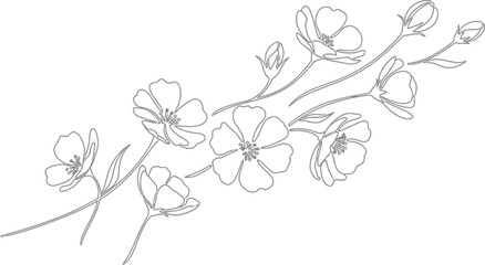Black and white illustration of a blooming branch isolated on transparent background