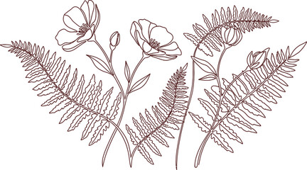 Black and white illustration of flowers and ferns isolated on transparent background © FARZANAAKTER