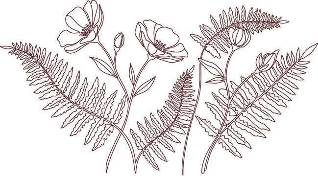Black and white illustration of flowers and ferns isolated on transparent background