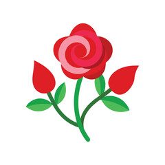 red and pink roses with intertwined stems vector art