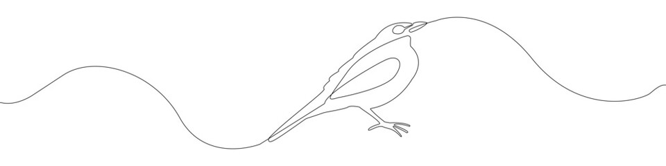 Bird icon line continuous drawing vector. One line Bird icon vector background. Bird icon. Continuous outline of a Bird icon.