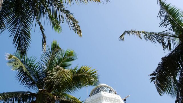 View of the white, tall lighthouse on the southern tip of the island of Sri Lanka. The lighthouse is surrounded by lush coconut trees.