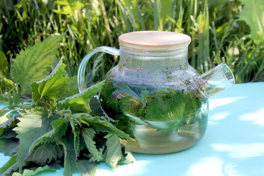 A decoction of nettle leaves in a teapot stands on a wooden table.