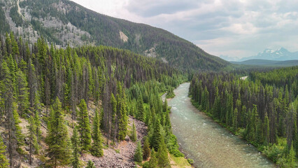 Obraz premium Jasper aerial cityscape with Athabasca River surrounded by mountains and green summer scenery