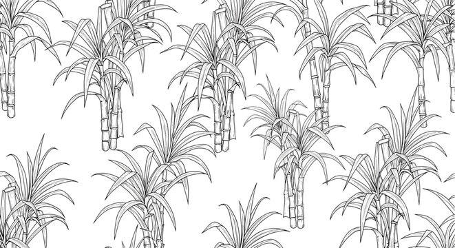 Detailed black and white outline seamless pattern of sugarcane plants with stalks and foliage for coloring book or agricultural design projects.