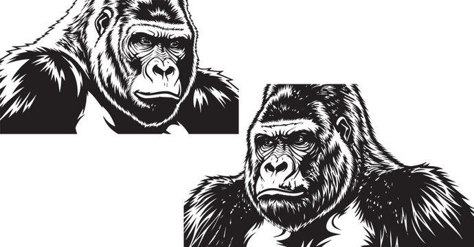 Close up shot of a single black square shape representing absence of light or concept of nothingness on transparent background