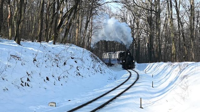 old vintage black steam locomotive engine and kids' train riding through bare winter forest. heavy white smoke through the chimney. narrow track. leisure, fun and outdoors concept. snowy landscape