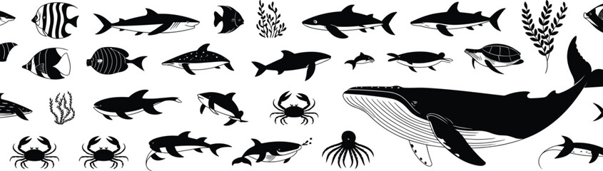 Fototapeta premium Marine life silhouettes, underwater animals, black vector illustration, whale, fish, turtle, octopus, seaweed icons, ocean biodiversity, aquatic design
