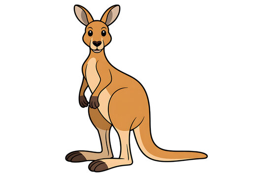 Cute cartoon kangaroo illustration