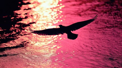 Silhouette of Flying Bird Over Water at Pink Sunset, Dramatic Nature Background