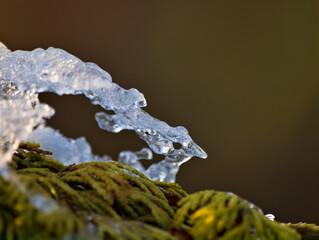 ice formations
