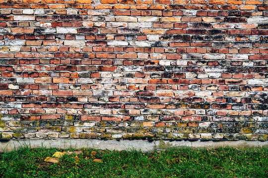 Old weathered brick wall with moss and grass base texture