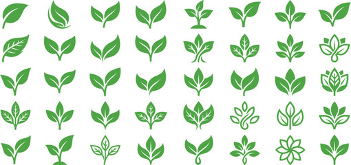 Collection of diverse green leaf illustrations on white background