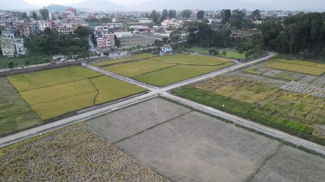 write title and 50 proper keywords for arieal video of paddy field form research center
