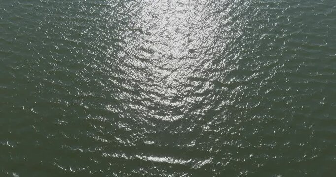 Aerial view of a body of water with sunlight reflecting off its surface and a seagull flying over it in summer, Pentala, Espoo, Finland.