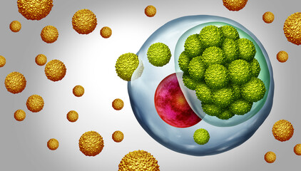 Chlamydia Infecting Human Cell Infection as elementary body entering a cell changing to a replicating reticulate body as a sexually transmitted infection or STD caused by the bacterium Chlamydia trach
