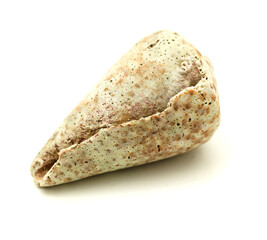 Fauna of Atlantic ocean around Gran Canaria - empty eroded Shell of Conus canariensis, butterfly cone sea snail, isolated on white background
