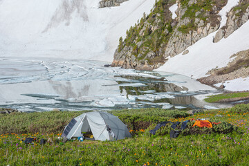 Alone white tent on flowering grassy green meadow among vivid orange flowers near glacial lake with...