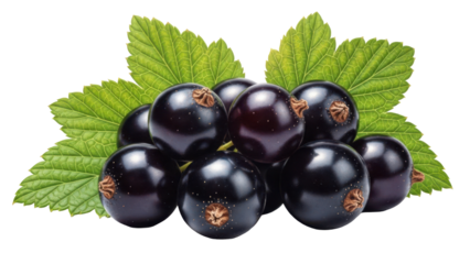 Black currant berries with green leaves isolated on transparent background