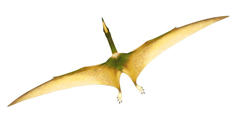 Pterosaur with vibrant wings in flight. © Ilie