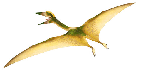 Colorful pterosaur soaring through the sky © Ilie