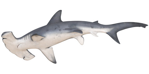 Obraz premium 3D model of a hammerhead shark on a white background.