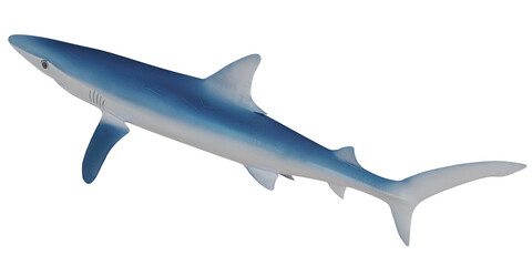 Fototapeta premium Blue shark model on a white background.