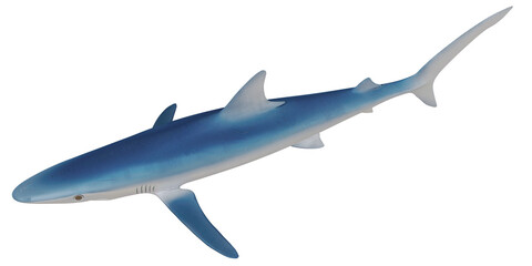 Obraz premium Blue shark on a plain white background.