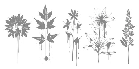 A set of unique floral illustrations with a distressed grunge style and dripping paint details