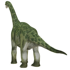 Realistic dinosaur model against white background. © Ilie